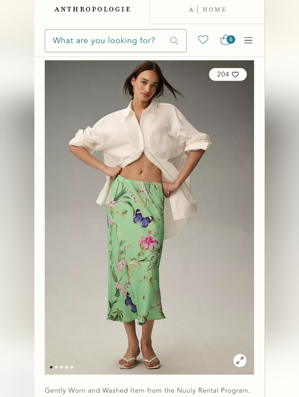 Anthropologie Mint Green Floral & Butterfly Midi Tilda Skirt